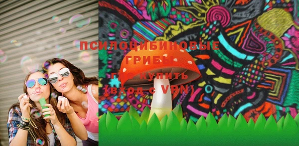 ГАЛЛЮЦИНОГЕННЫЕ ГРИБЫ Алексеевка