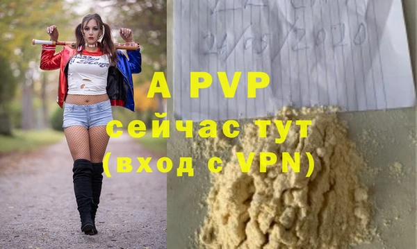 крисы Алексин