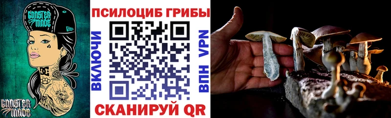 закладки  гидра зеркало  Галлюциногенные грибы MAGIC MUSHROOMS  Бабушкин 